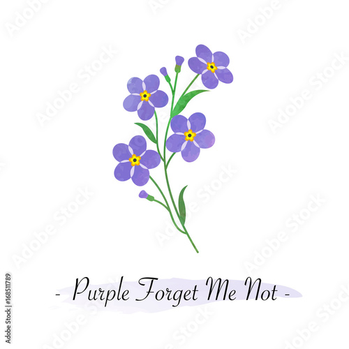 Colorful watercolor texture vector botanic garden flower light purple forget me not