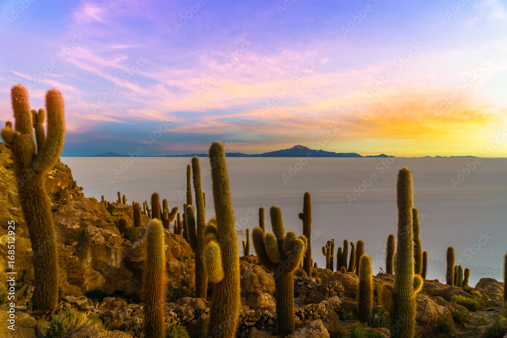 View on Sunset on Incahuasi island by Uyuni lake in Bolivia