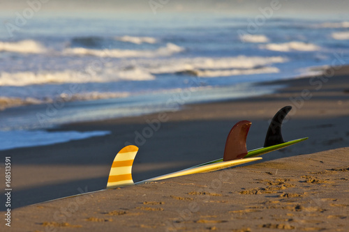 Surfing in California
