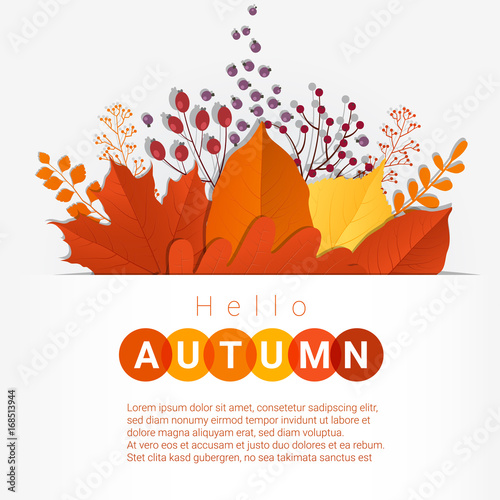 Hello autumn with colorful leaves and fruits background , vector , illustration