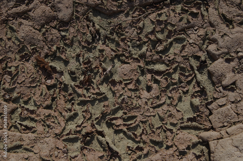 Ausgetrocknetes Flussbett in Kroatien Ausgetrocknetes Flussbett in Kroatien
