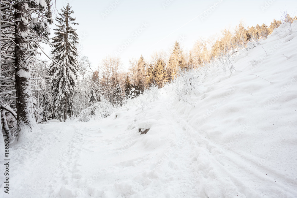 Naklejka premium snow in the valley