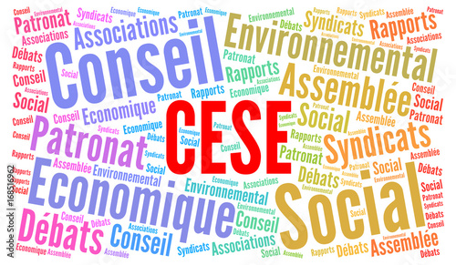 Принти на полотні CESE, Conseil Economique Social et Environnemental nuage de mots