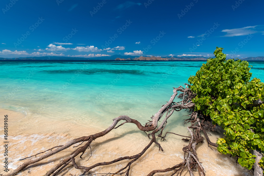 Beautiful beach. View of nice tropical beach. Holiday and vacation concept. Tropical beach.