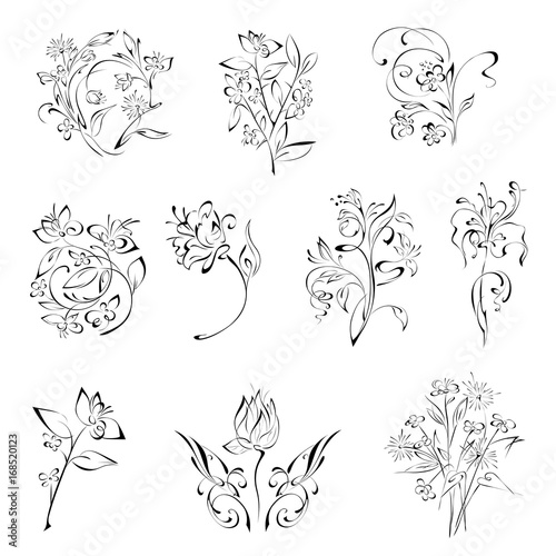 flowers 11. SET. stylized flowers in black lines on a white background. SET