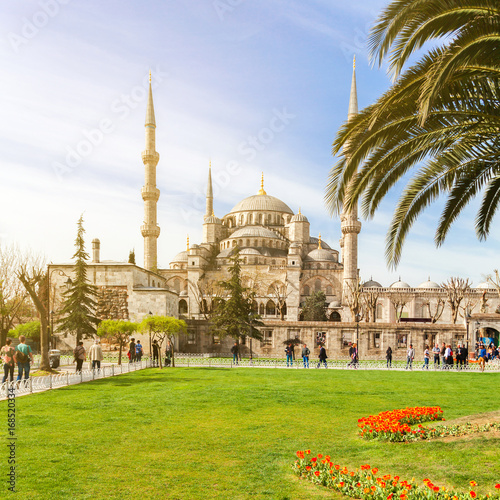 Canvas Print View of the Blue Mosque from the park in Istanbul
