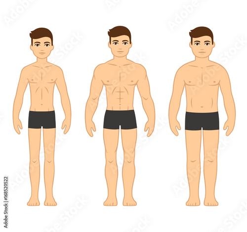Men Body Types