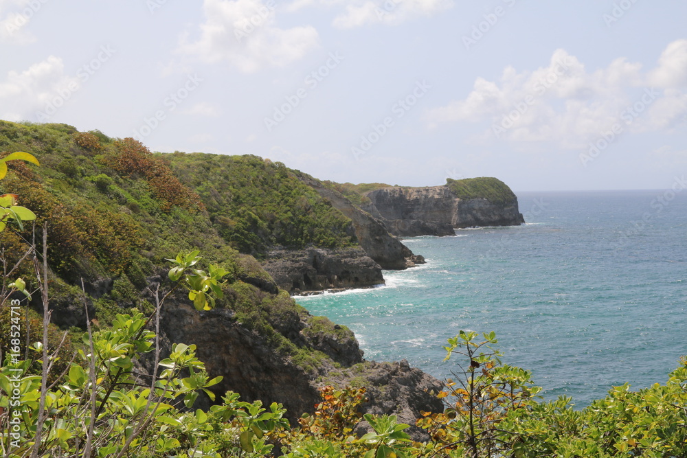 Paysage Guadeloupe