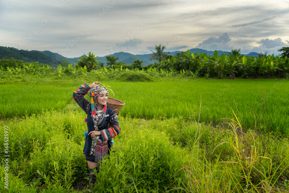 The country girl is harvesting crops in the mountains. The country girl is harvesting crops in the mountains.