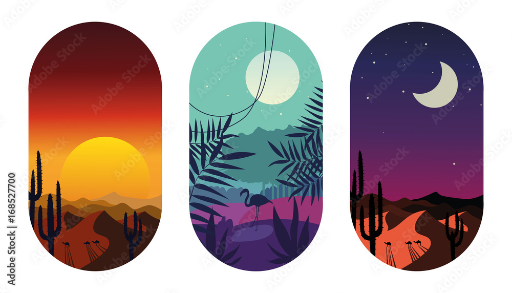 Tropical, sand dunes, desert landscape, night, sunset, silhouette of flamingos and camels and cacti. Vector flat logo