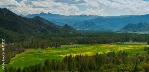 Fototapeta Naklejka Na Ścianę i Meble -  Beauty colors of summer Altai