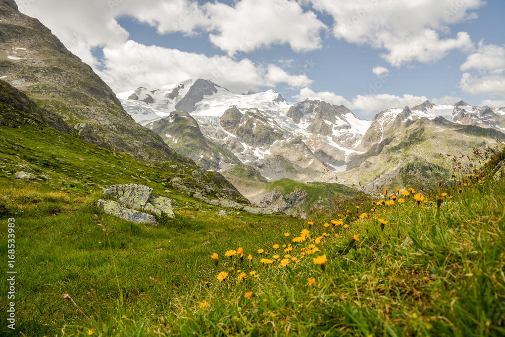 Stein Glacier in Alps