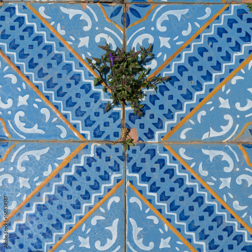Ornamental glazed tiles.