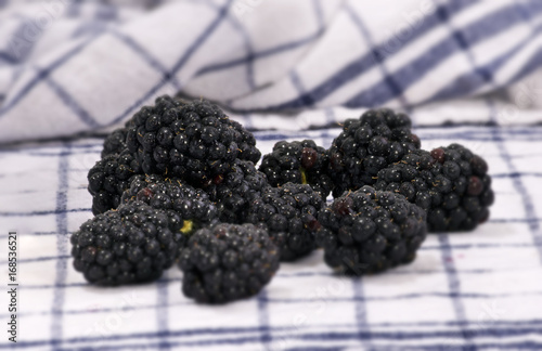 Brombeeren photo