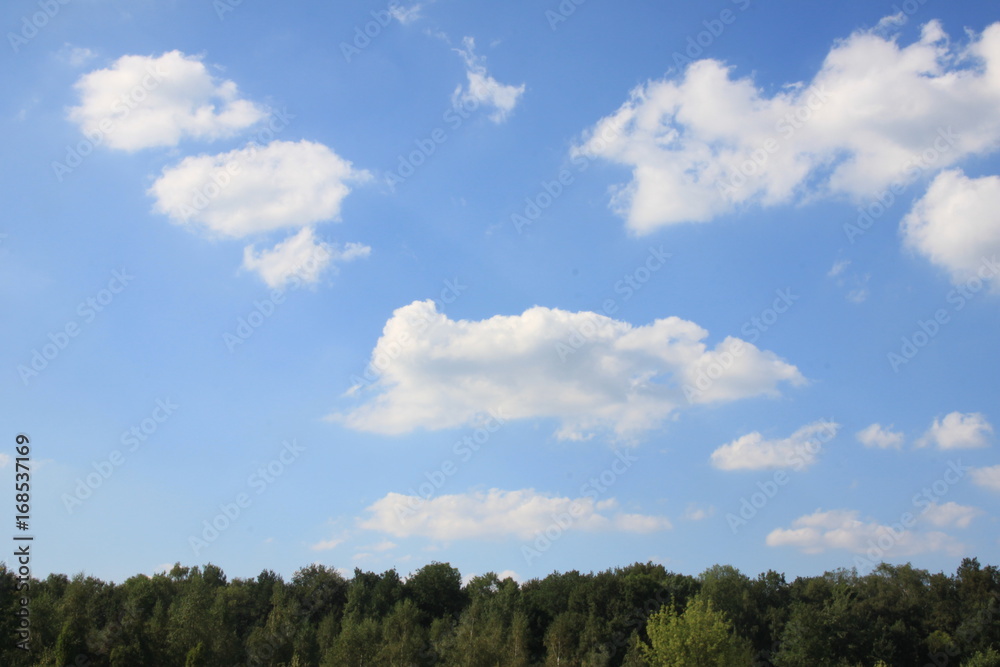 blue sky with clouds and trees 