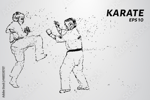 Karate of particles. Karate consists of small circles.