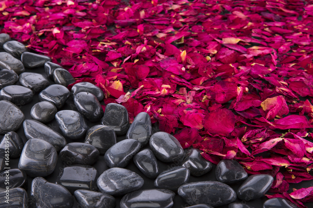 Obraz premium the background of black pebbles and dried rose petals.