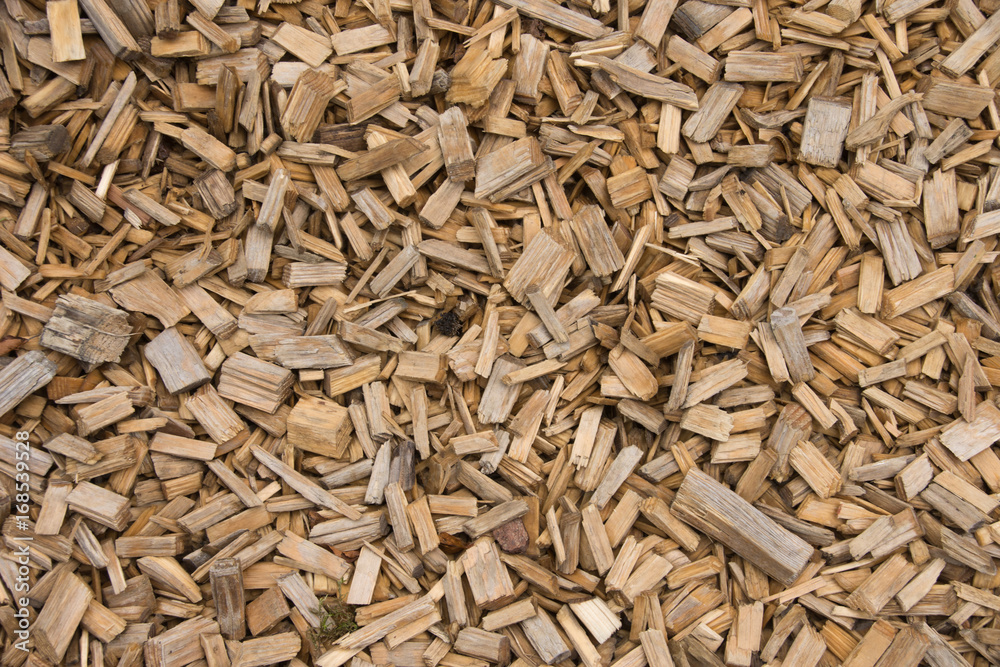 Holzstückchen auf Waldweg als Hintergrund Holzstückchen auf Waldweg als Hintergrund