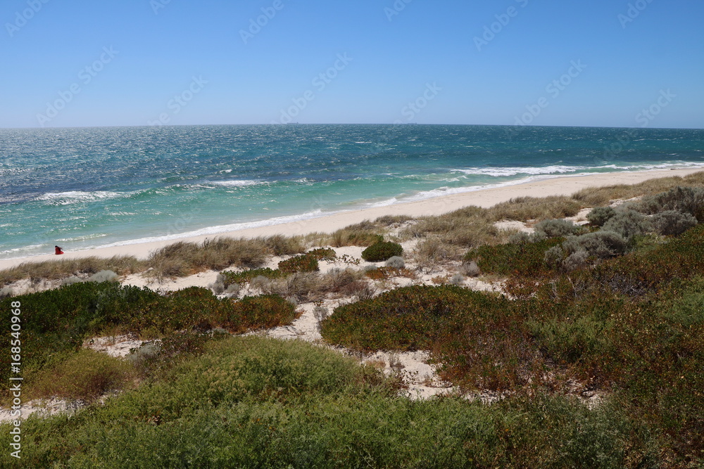 View to Cottesloe Beach at Indian Ocean in summer, Western Australia 