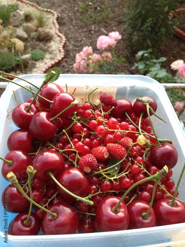 red fruits