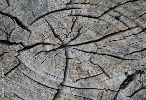 Holz, Wood Textur