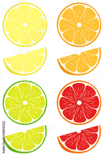Citrus slices vector set