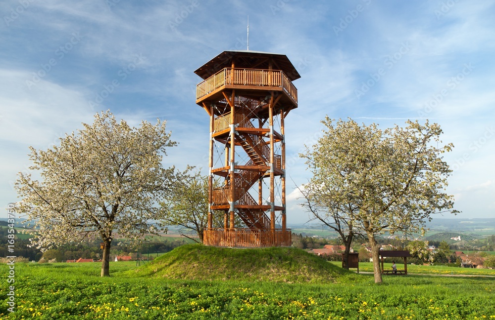 Springtime view, looking tower and flowering cherry trees