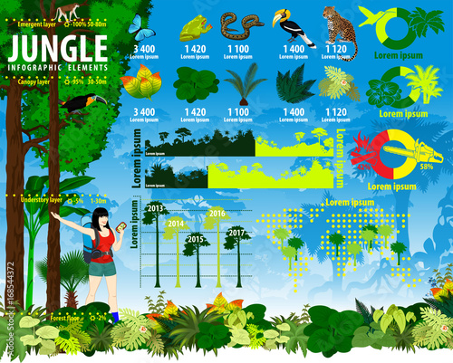 Vector tropical rainforest Jungle infographics elements