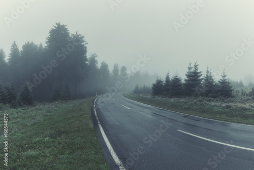 Road Through A Forest With Morning Fog. Color Toning