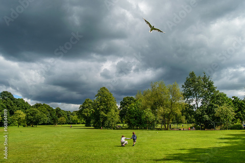 Tableau sur toile Kids playing on grass and a big bird flying below thundery clouds