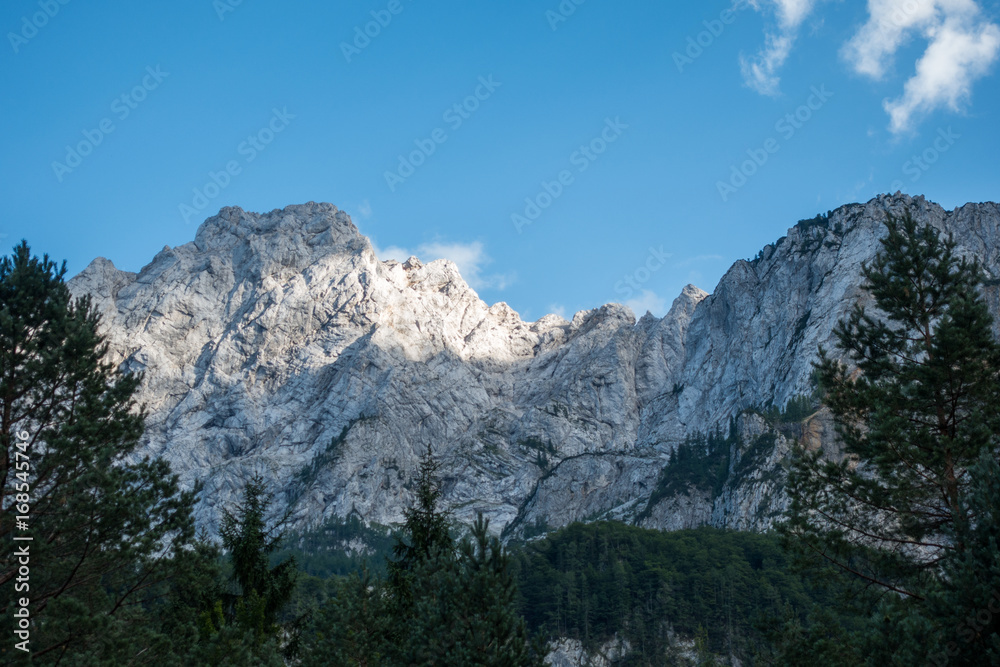 Alpine Mountain peak on blue sky and forest in foreground Alpine Mountain peak on blue sky and forest in foreground
