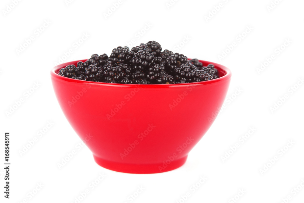 Fresh blackberry in a red bowl. Isolated on white.