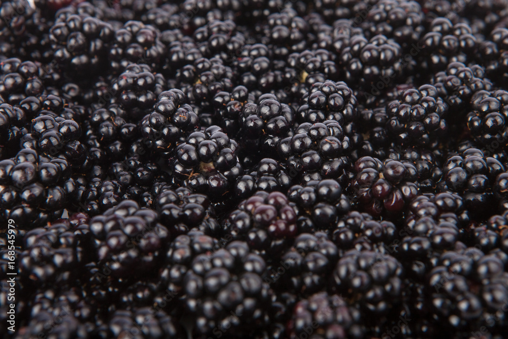 Fresh blackberries from the forest Fresh blackberries from the forest