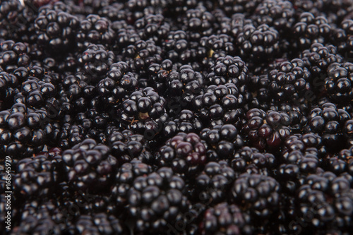 Fresh blackberries from the forest