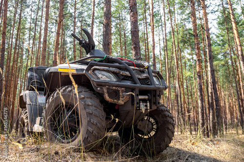 ATV Quadbike in a pine forest. Summer time.