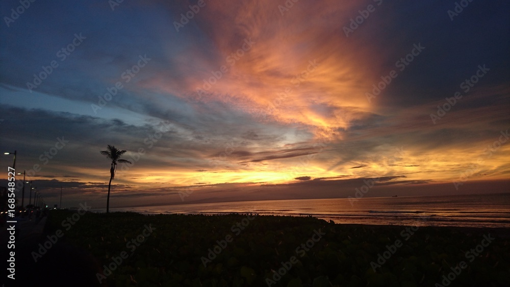 Fototapeta premium natura