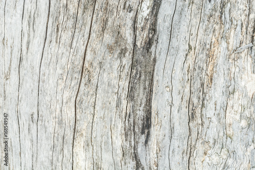 Wallpaper Mural Dark texture of old natural wood with cracks from exposure to sun and wind Torontodigital.ca