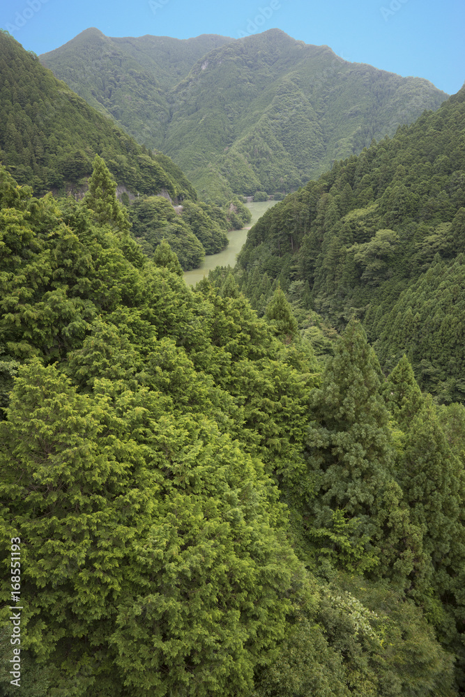 Obraz premium 深山渓谷