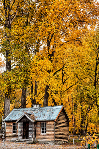Hut in autumn forrest