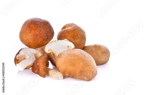 Fresh mushrooms on white background