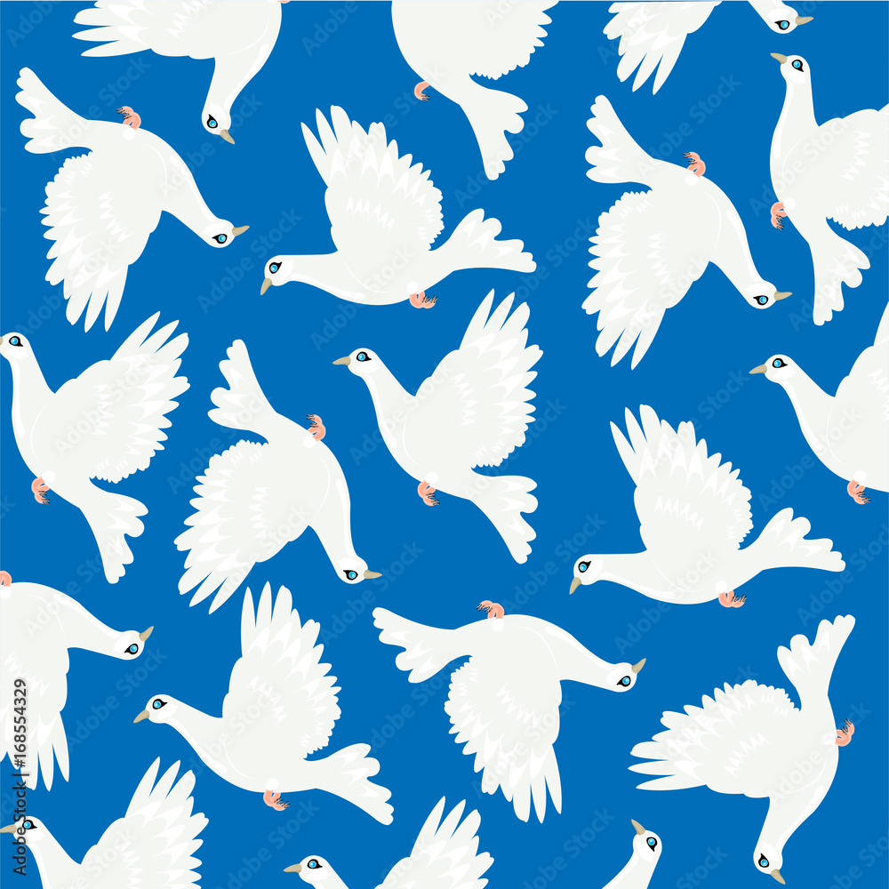 Fototapeta premium Dove on turn blue