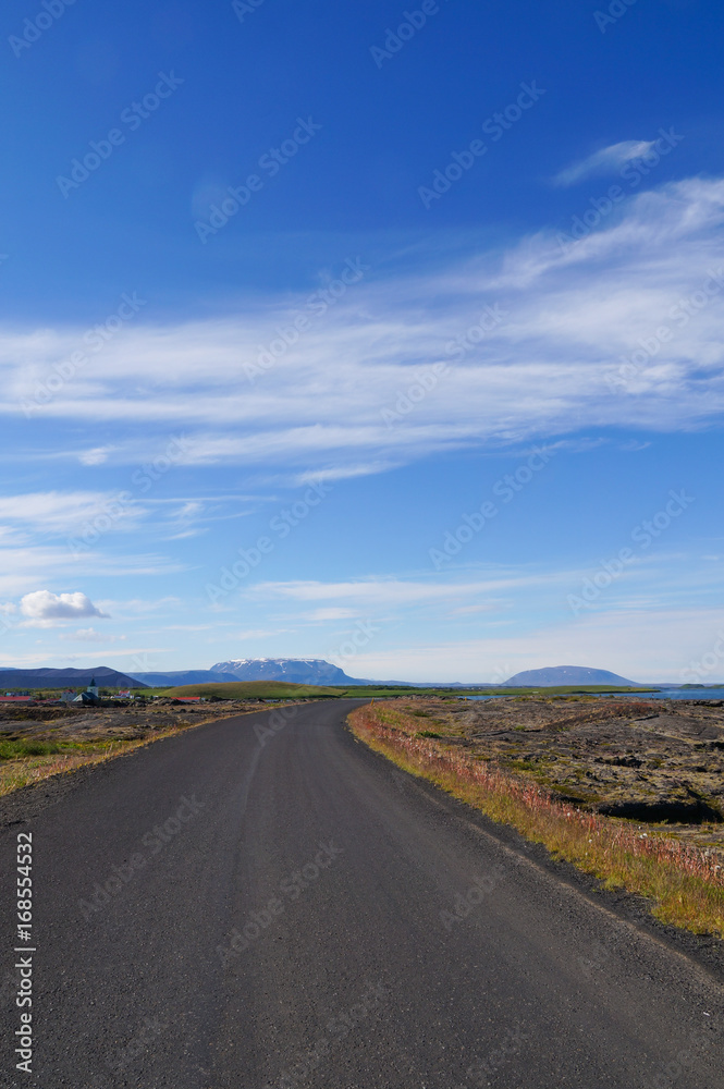 Beautiful view in summer,Iceland