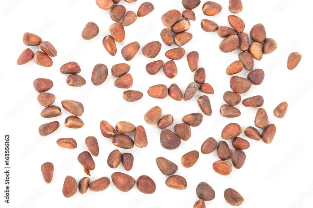 Obraz premium Cedar pine nuts
