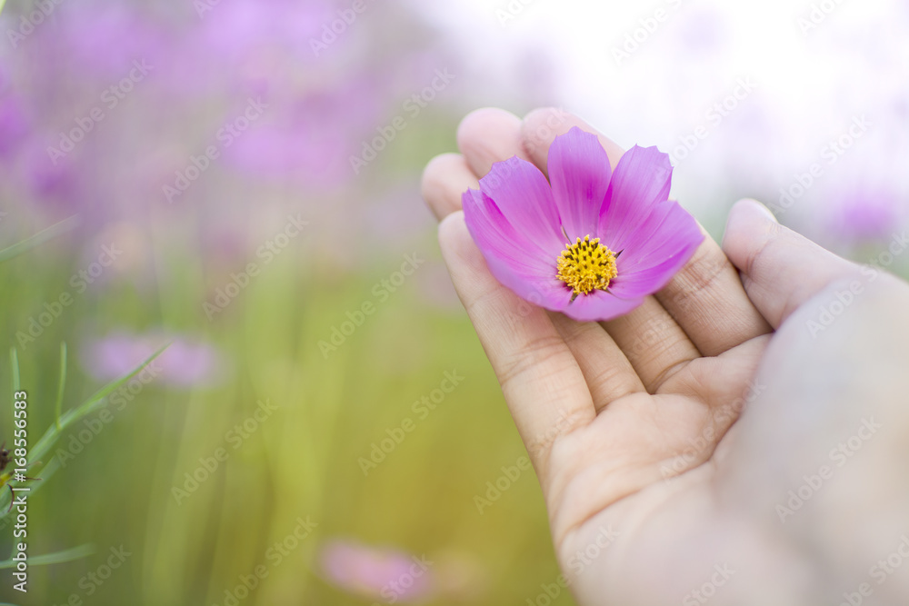 hand holding flower in palm