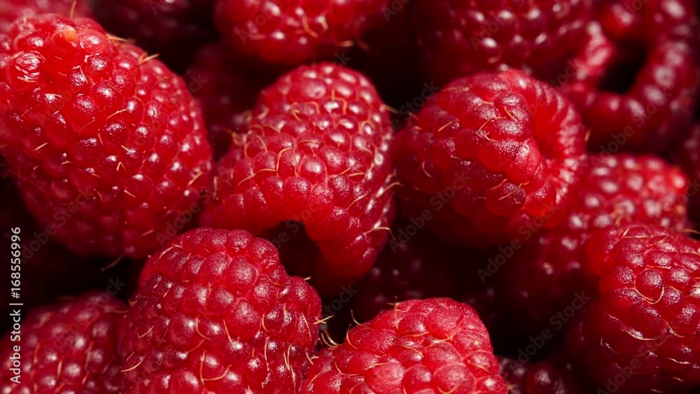 Fresh raspberry fruits as food background. Healthy food organic nutrition. Dolly slider shot 4K ProRes HQ codec Fresh raspberry fruits as food background. Healthy food organic nutrition. Dolly slider shot 4K ProRes HQ codec