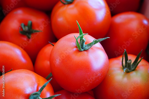 close up on fresh farm picked tomatoes in harvest season © nd700