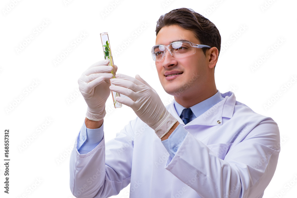 Scientist with green seedling in glass isolated on white Scientist with green seedling in glass isolated on white