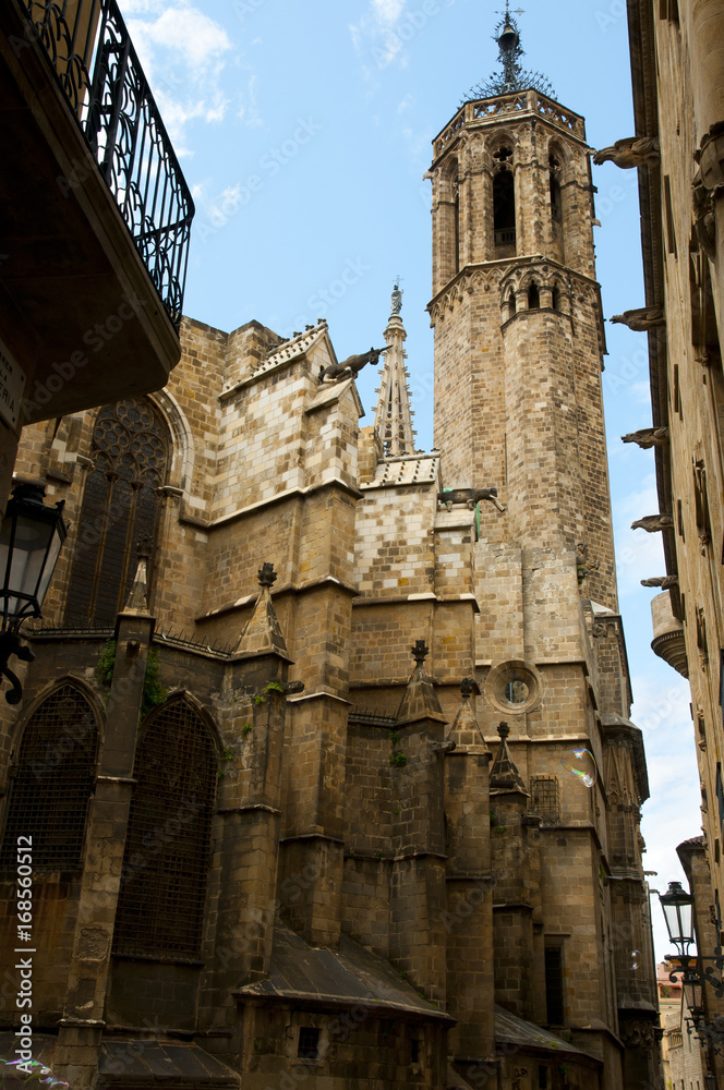 Backside of Barcelona Cathedral - Spain