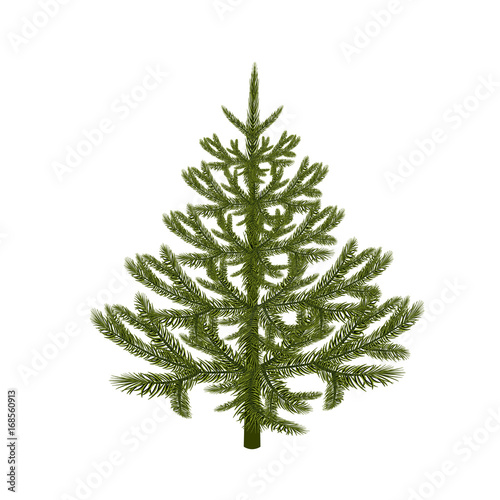 Symbol of the New Year. Picture of a magnificent spruce without a mesh and a gradient. Isolated against white background. illustration