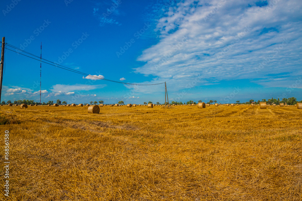 Fototapeta premium Beautiful idyllic landscape